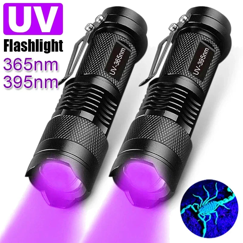 UV Black Light Flashlight for Detecting Pet Urine Stains on Carpet