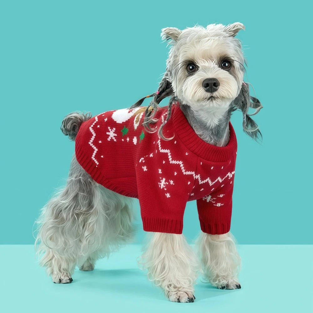 Warm Fall & Winter Pet Sweater for Small and Medium Dogs