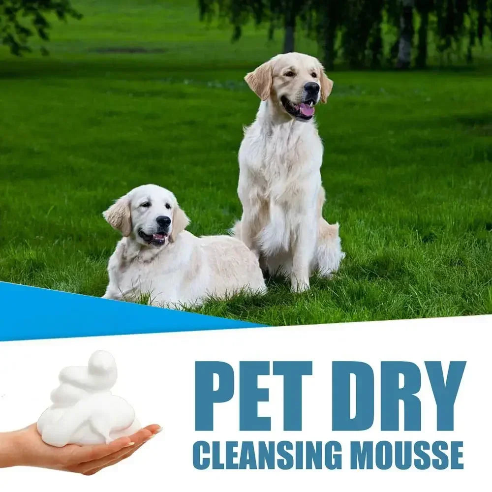 Waterless No-Rinse Cleaning Mousse Shampoo for Dogs & Cats