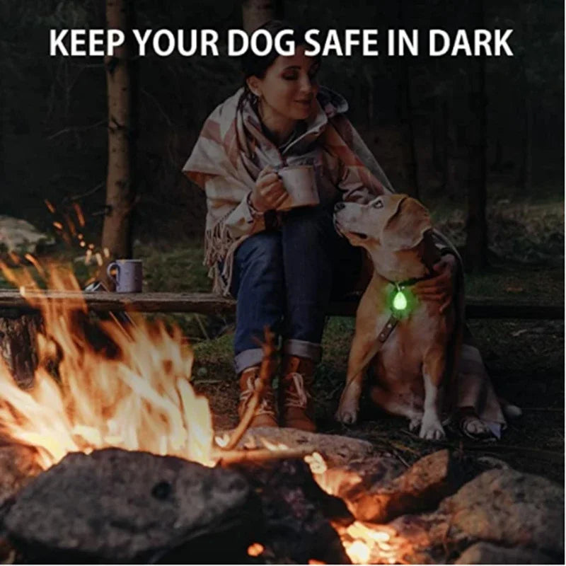 LED Glowing Pet Collar Pendant, Night Safety Light for Dogs & Cats