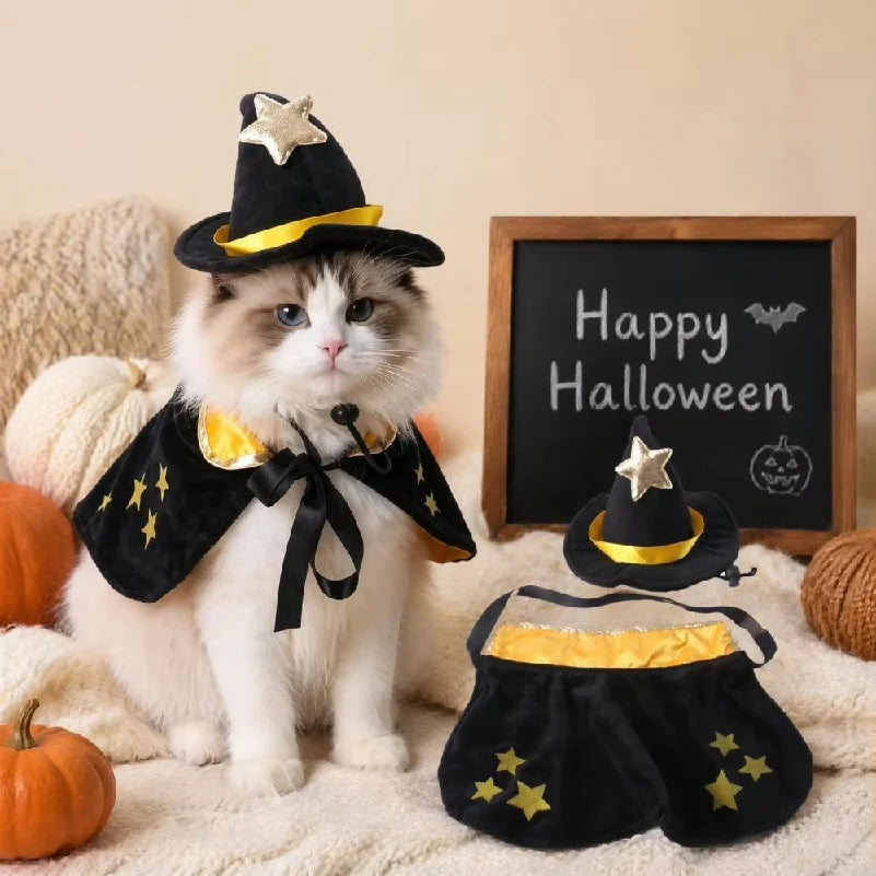 Halloween Witch Cape and Hat Costume for Cats and Small Dogs