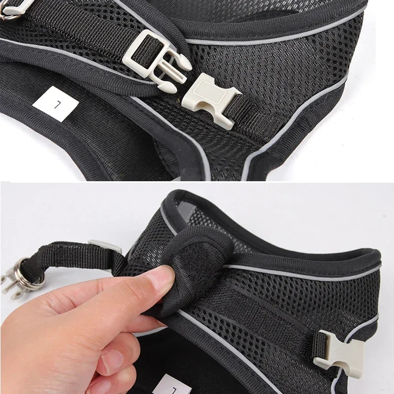 Puppy Harness & Leash Vest Set for Small Dogs, Adjustable