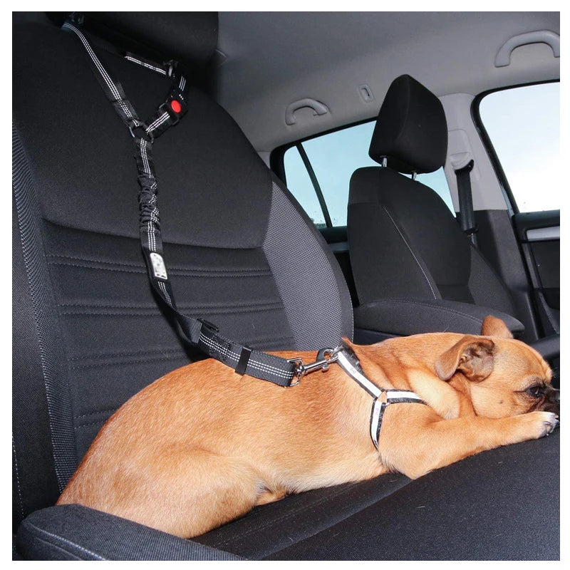2-in-1 Dog Harness with Leash and Car Seat Belt Strap