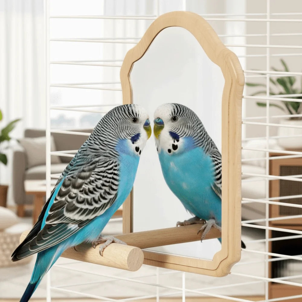 Bird Mirror Perch Toy, Chew-Resistant Interactive Parrot Cage Toy