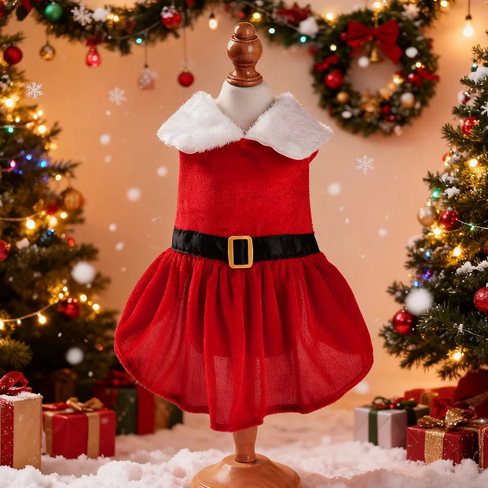 Christmas Dog Dress for Small Dogs & Cats, Santa Party Outfit