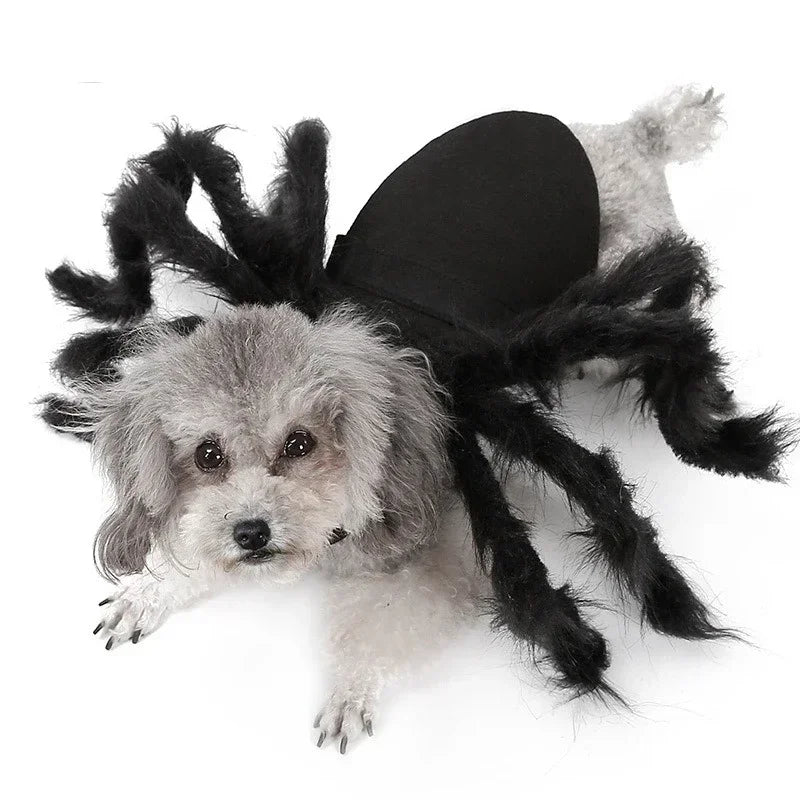 Furry Spider Costume for Dogs and Cats, Easy-On Halloween Pet Outfit