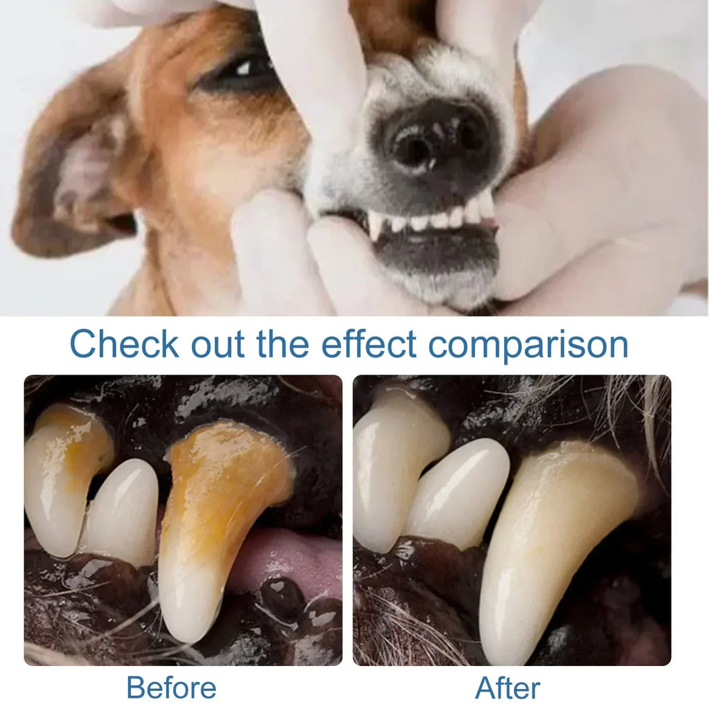 Natural Tartar Remover Foam for Dogs & Cats, Plaque & Fresh Breath