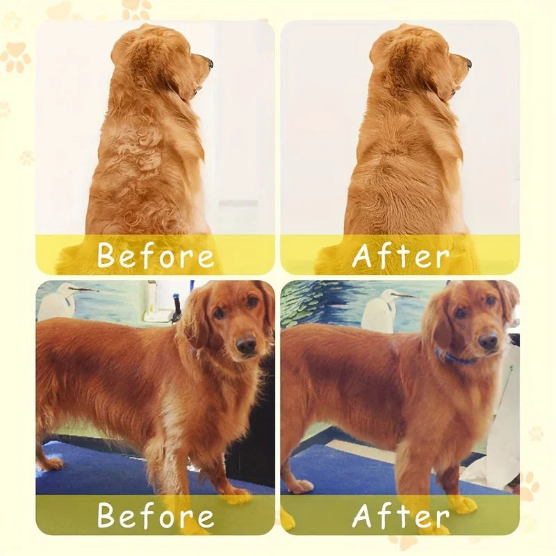 3-in-1 Electric Steam Grooming Brush for Dogs & Cats, Detangling