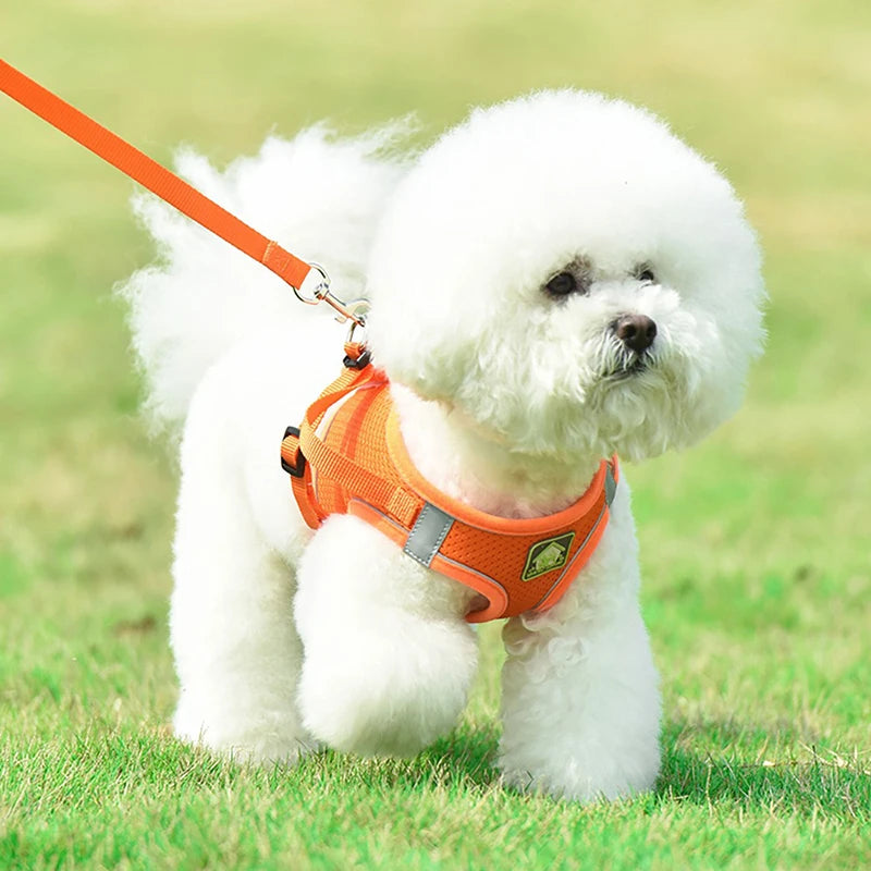 Adjustable Dog Chest Harness Vest for Small and Large Breeds