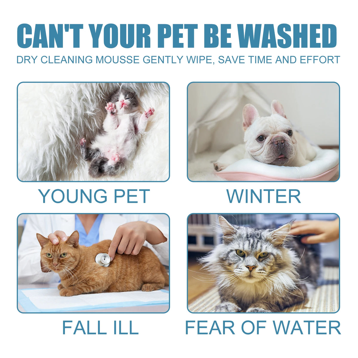 Waterless Pet Dry Shampoo Foam for Dogs & Cats, Odor Neutralizing