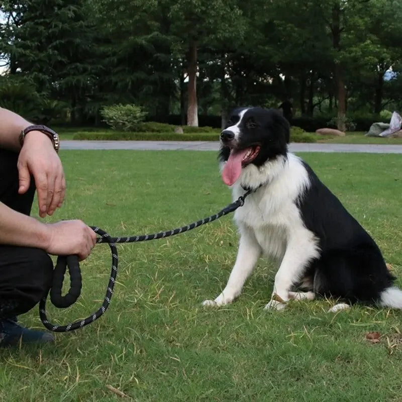 Reflective Nylon Round Dog Leash, No-Strangle Walking Lead