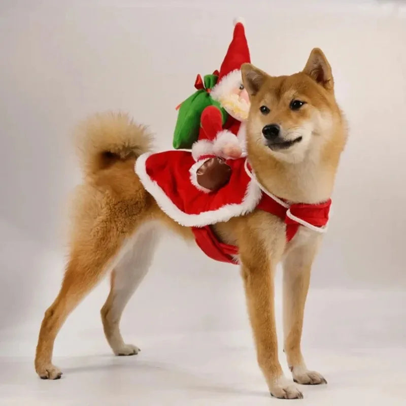 Funny Santa Rider Christmas Costume for Dogs & Cats