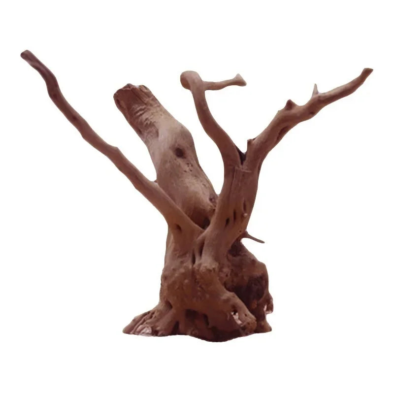 Natural Driftwood Tree Trunk Decor for Aquariums and Reptile Tanks