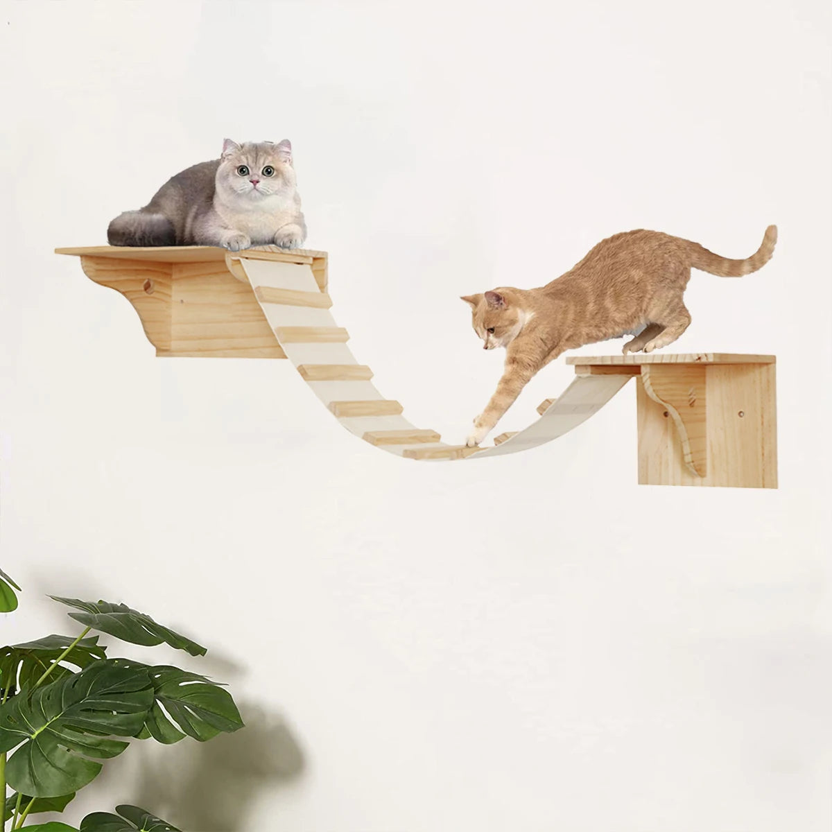 Wall-Mounted Cat Climbing Shelves Set with Bridge Ladder