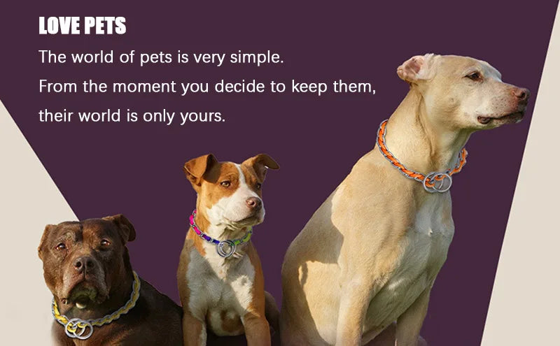 Heavy Duty Double Handle Dog Leash for Training and Traffic Control