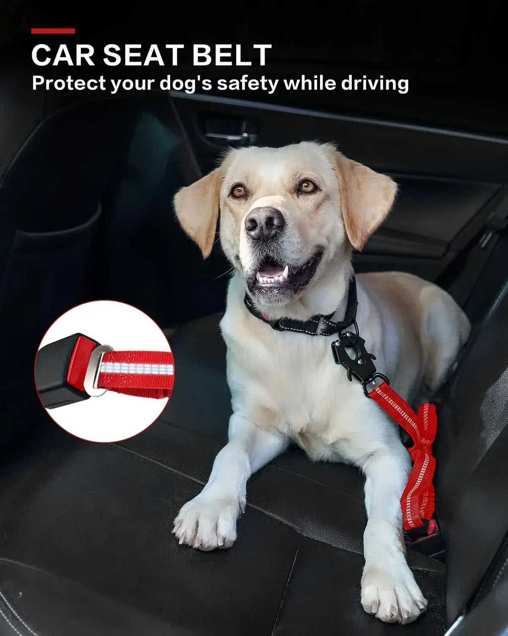 Heavy-Duty Tactical Bungee Dog Leash with 2 Padded Handles & Seatbelt