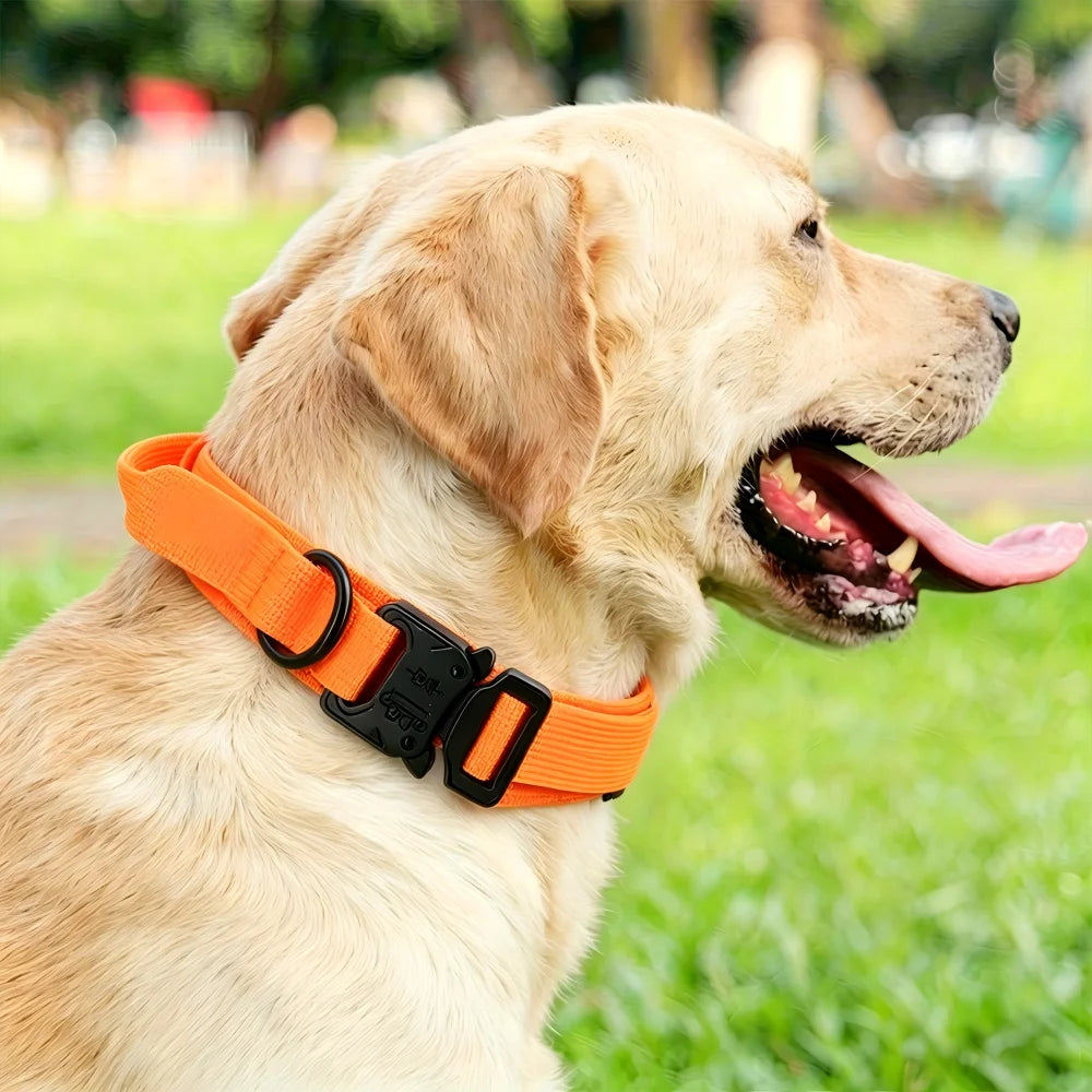 Heavy-Duty Tactical Dog Collar with Control Handle for Large Dogs