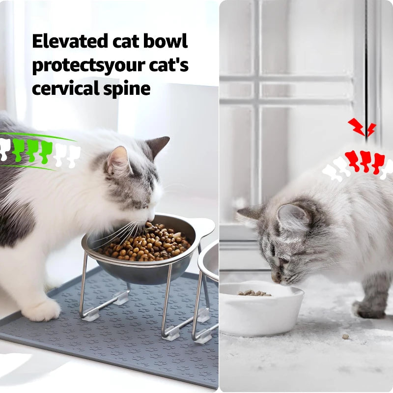 Stainless Steel Raised Cat Bowl, 15° Tilted Neck-Friendly Feeder