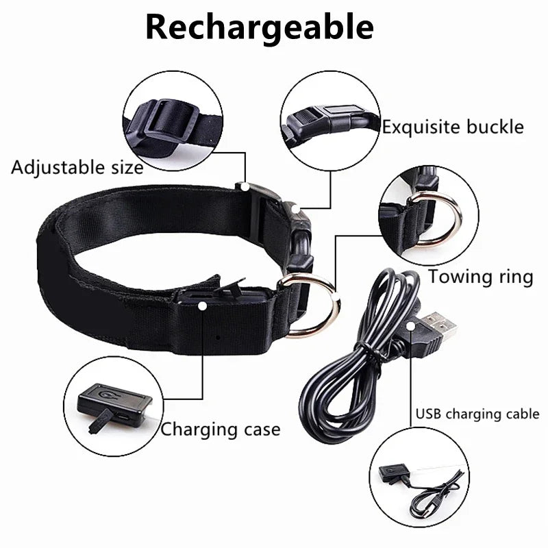 LED Glow Dog Collar – USB Rechargeable Night Safety Collar