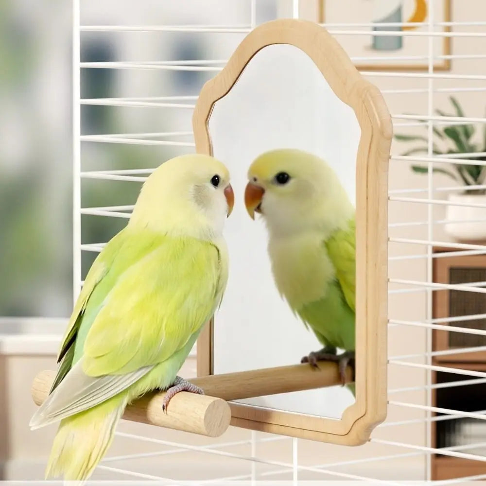 Bird Mirror Perch Toy, Chew-Resistant Interactive Parrot Cage Toy