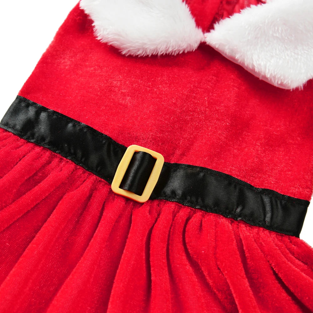 Christmas Dog Dress for Small Dogs & Cats, Santa Party Outfit