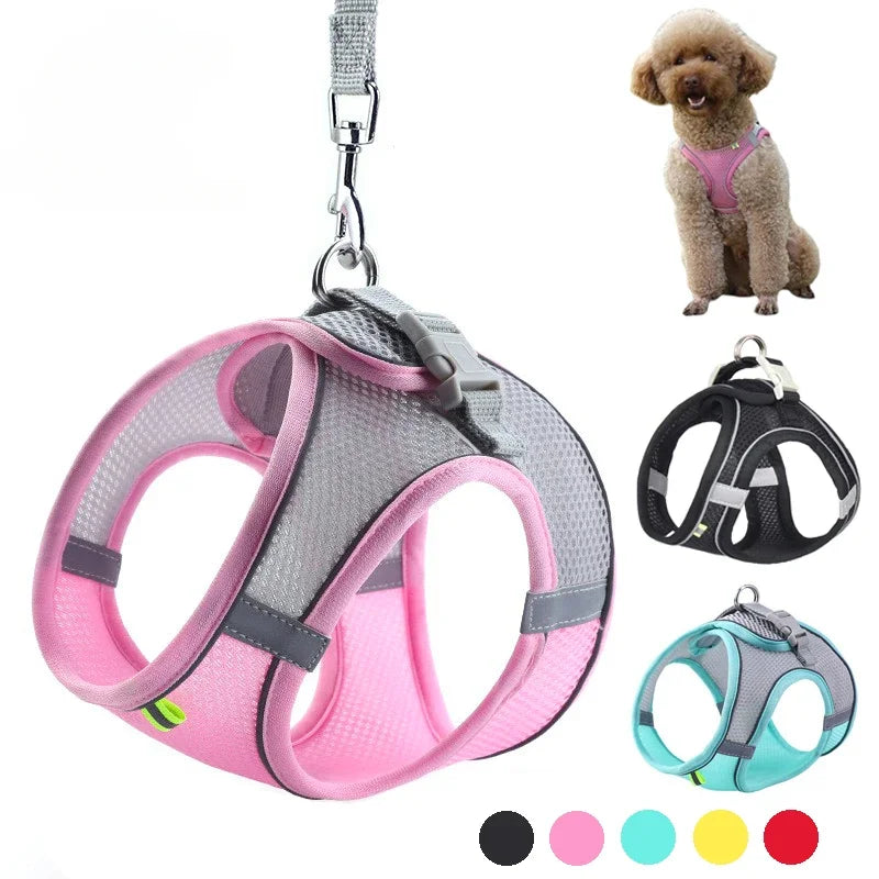 Puppy Harness & Leash Vest Set for Small Dogs, Adjustable