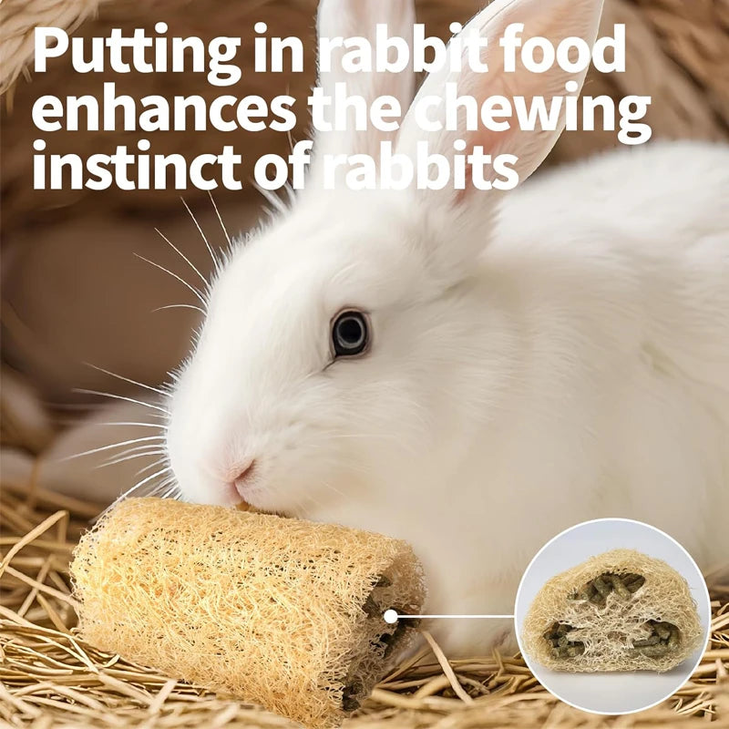 Natural Loofah Chew Toys for Rabbits & Chinchillas, 2-Pack