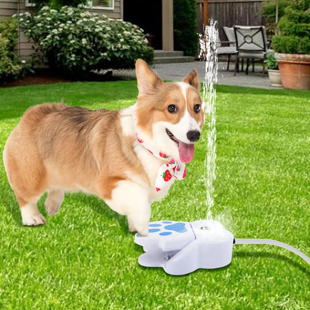 Step-On Dog Water Fountain, Paw-Activated Outdoor Drinker