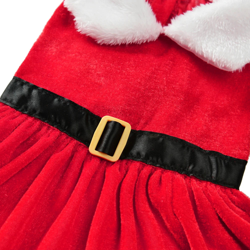 Christmas Dog Dress for Small Dogs & Cats, Santa Party Outfit