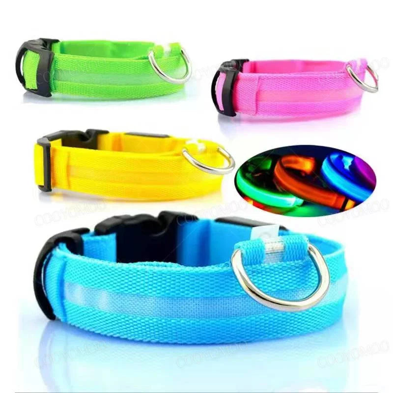 LED Glow Dog Collar – USB Rechargeable Night Safety Collar