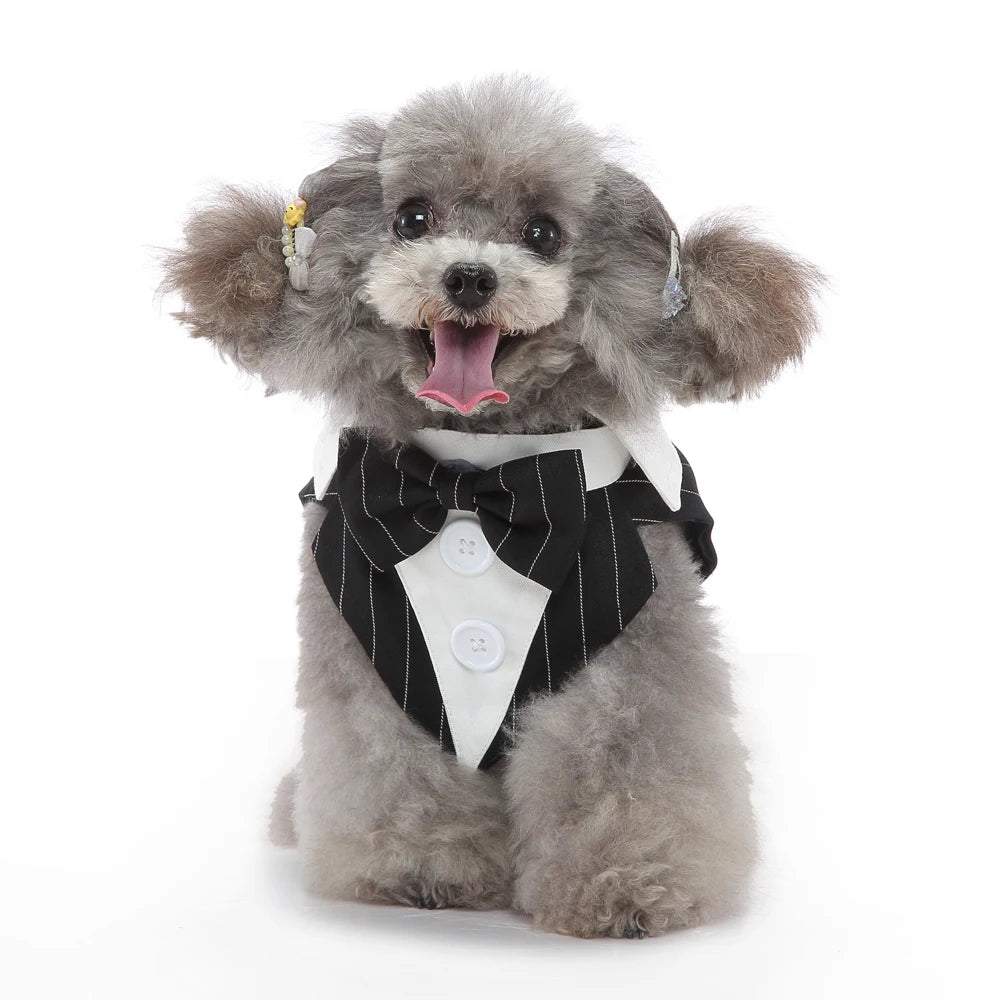 Dog Tuxedo Formal Suit, Christmas & Halloween Party Costume