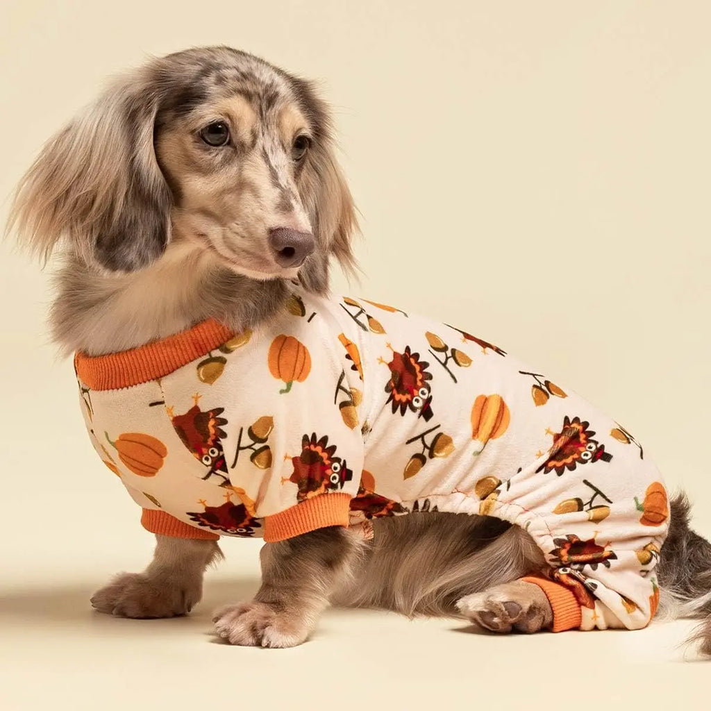 Turkey Dog Pajamas - Thanksgiving