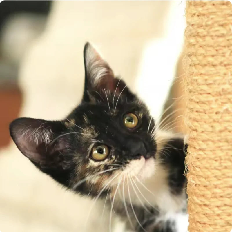 Natural Sisal Rope Cat Scratcher DIY Furniture Protector