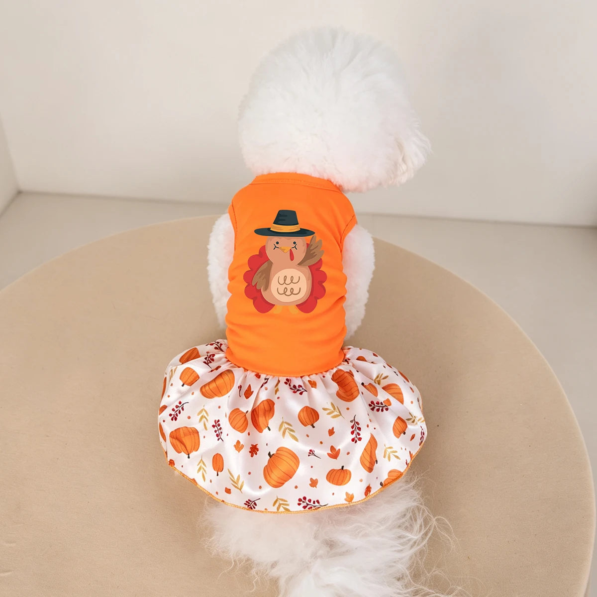 Fall Thanksgiving Pumpkin Print Dog Dress for Small & Medium Dogs