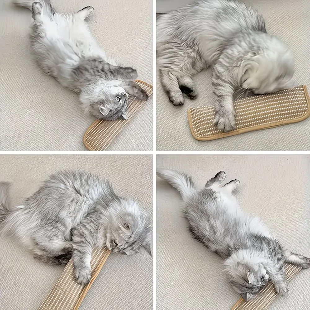 2-in-1 Cat Toy Pillow and Scratching Mat for Indoor Kittens