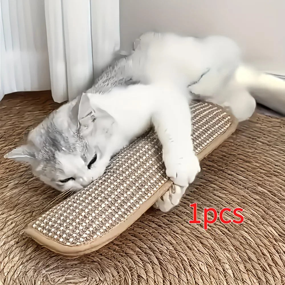 2-in-1 Cat Toy Pillow and Scratching Mat for Indoor Kittens