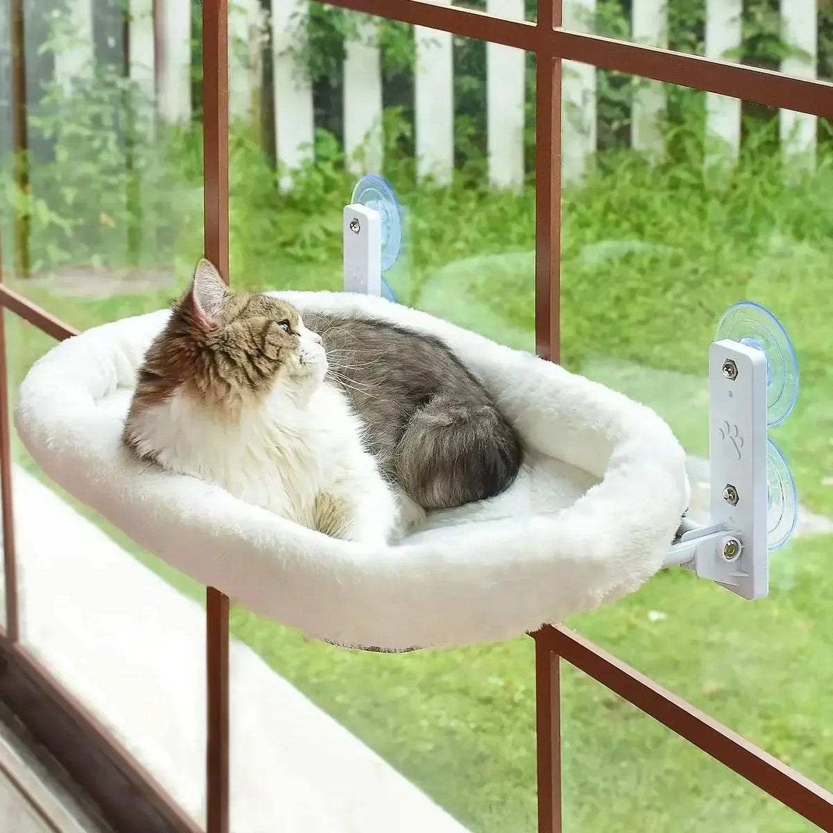 Cat Window Hammock Perch with Suction Cups for Sunbathing