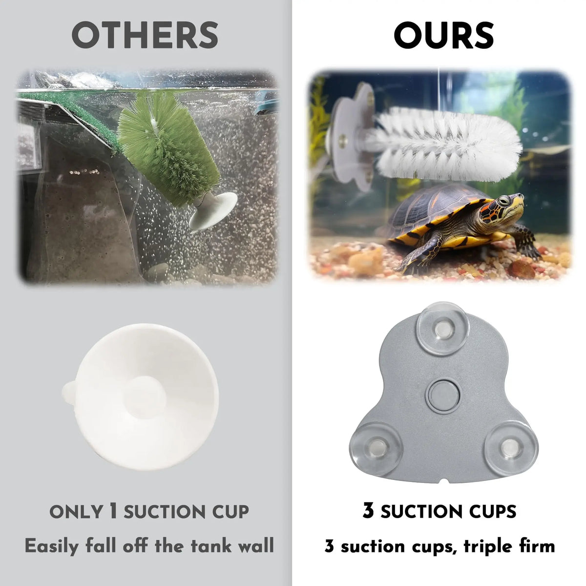 Turtle Shell Scrub Brush with Suction Cup for Easy Reptile Cleaning