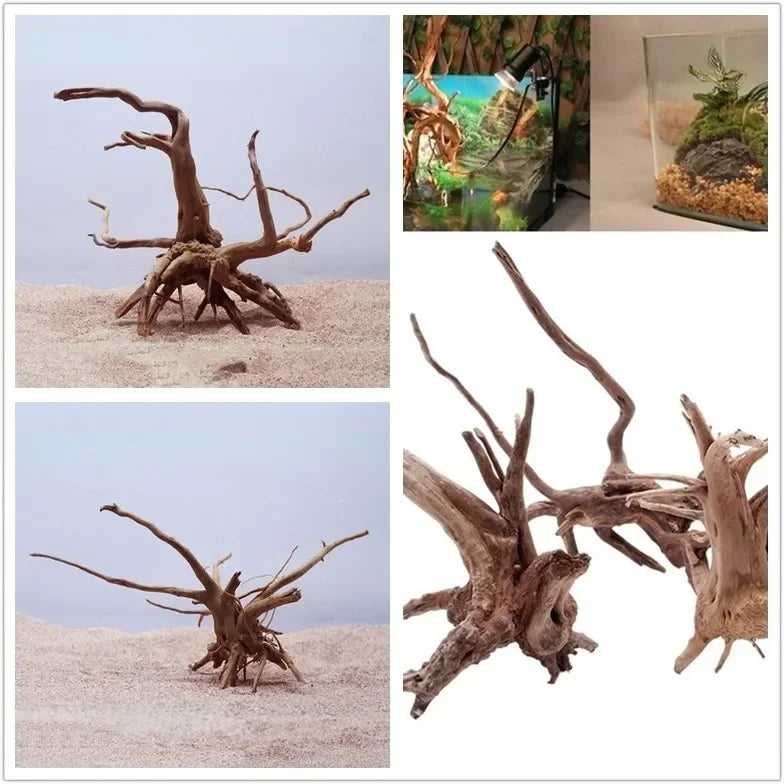 Natural Driftwood Tree Trunk Decor for Aquariums and Reptile Tanks