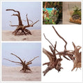 Natural Driftwood Tree Trunk Decor for Aquariums and Reptile Tanks