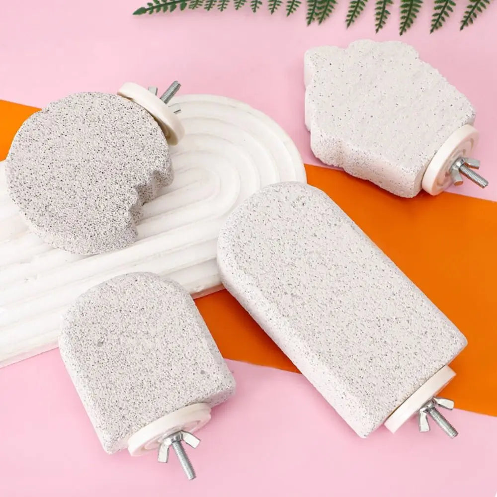Pumice Bird Perch Platform for Parrots, Claw & Beak Grinding Stand
