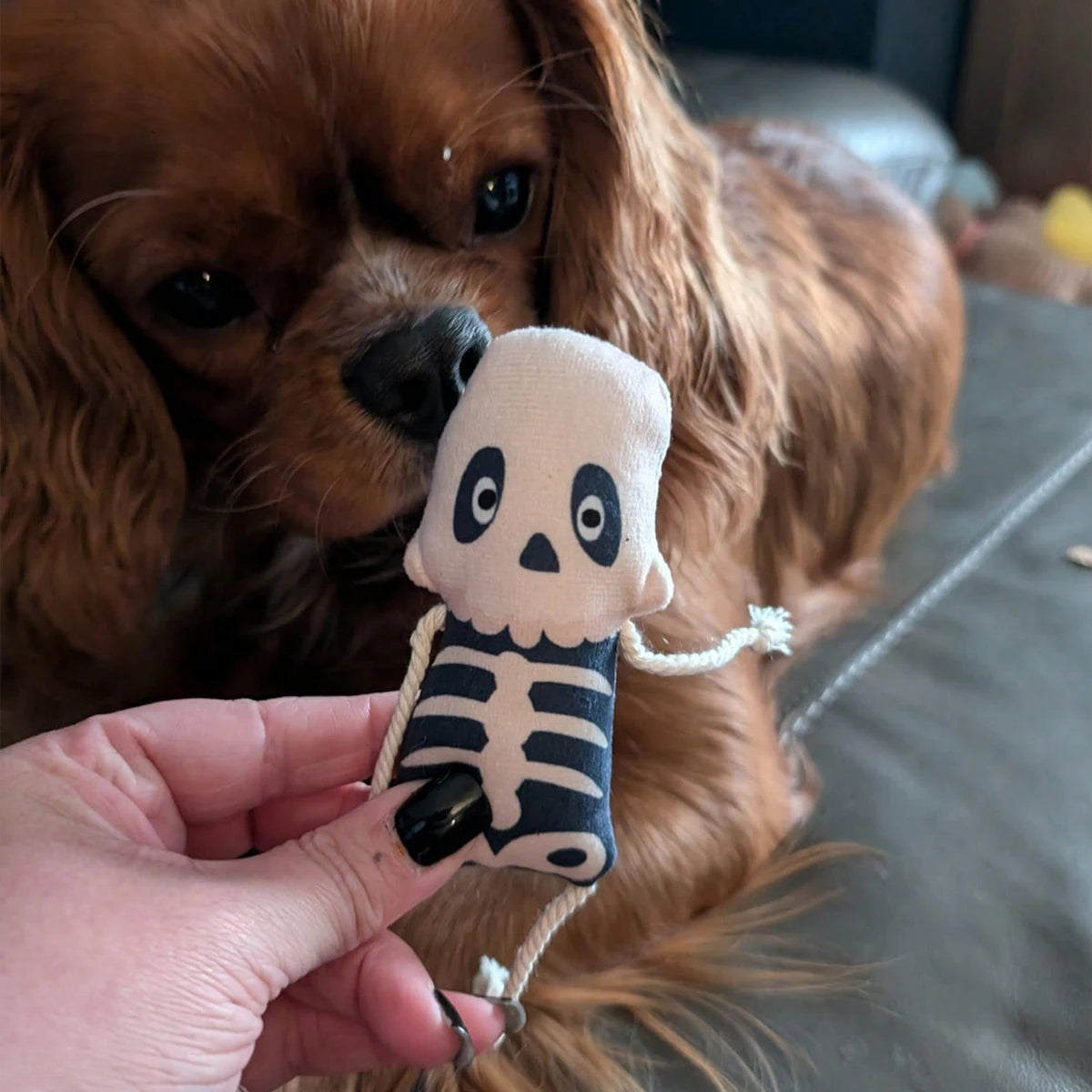 Halloween Skeleton Cat Toy, Plush Kitten Chew Toy with Rope Tail
