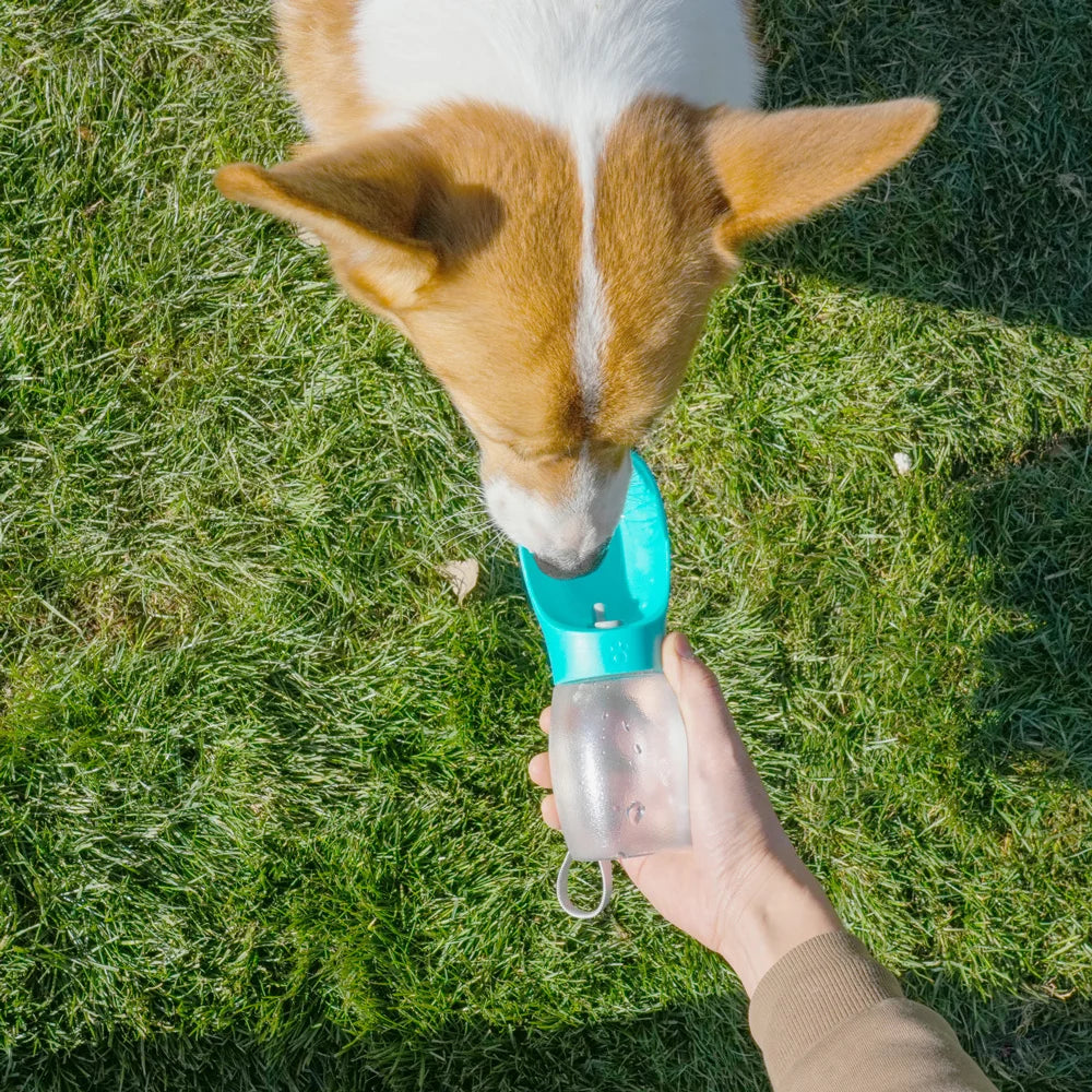 Portable Dog Water Bottle with Drinking Bowl for Walks & Hikes