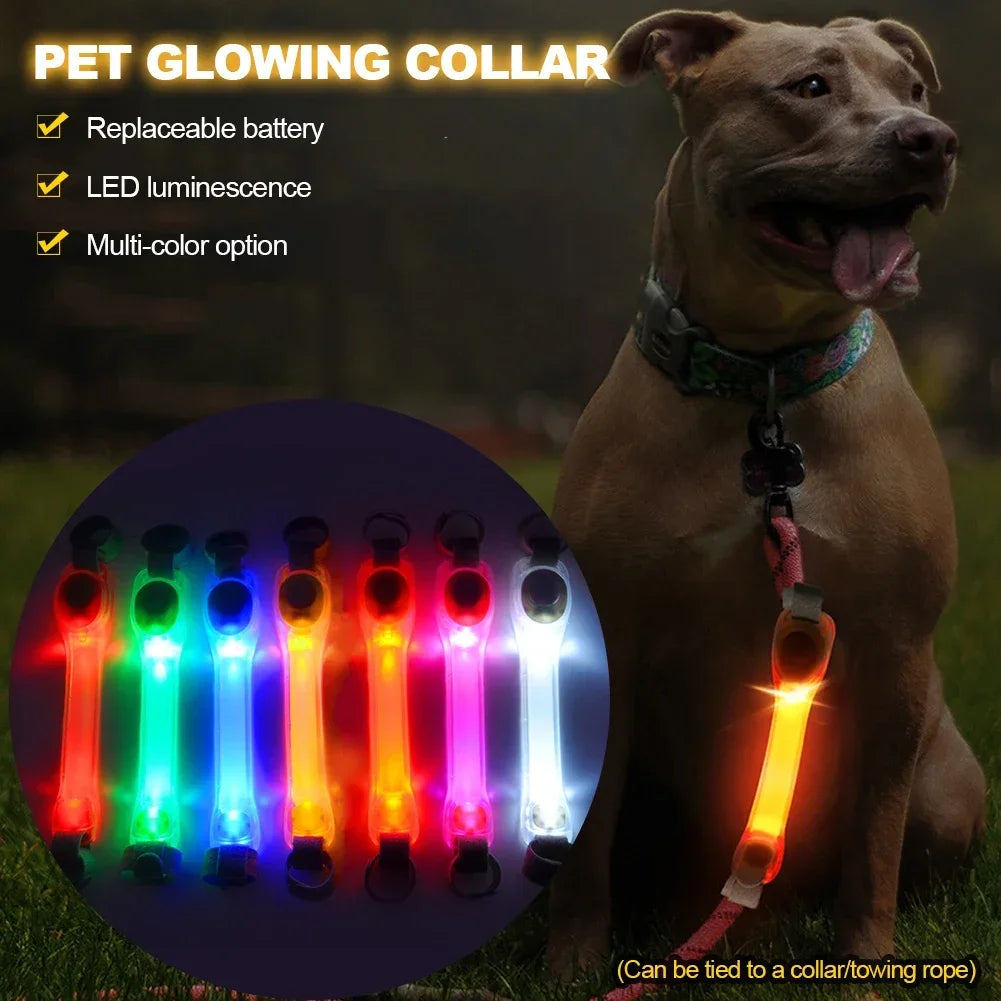 Glowing LED Anti-Lost Dog Collar with Pendant, Waterproof