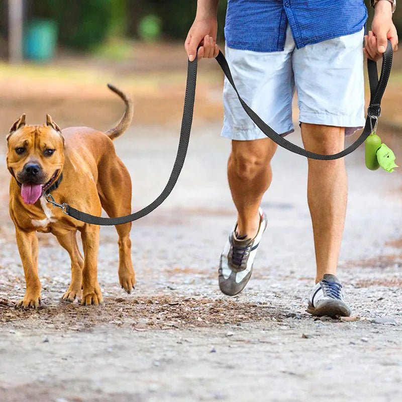 Reflective Night Safety Dog & Cat Harness Leash Walking Training Rope