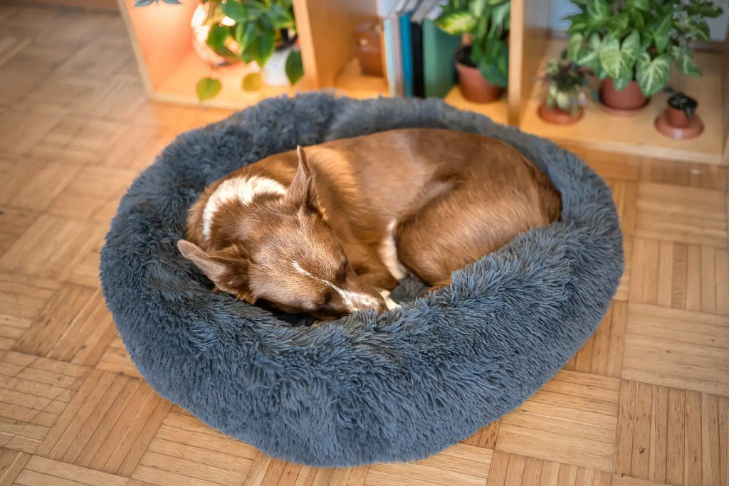 Calming Orthopedic Donut Dog Bed, Washable Pet Lounger