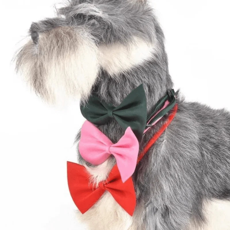 Adjustable Pet Bow Tie Collar for Dogs & Cats, Many Colors