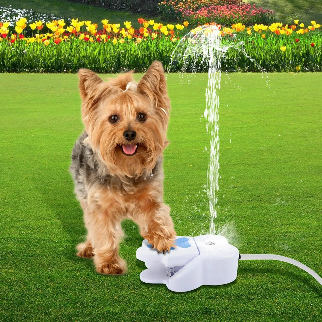 Step-On Dog Water Fountain, Paw-Activated Outdoor Drinker