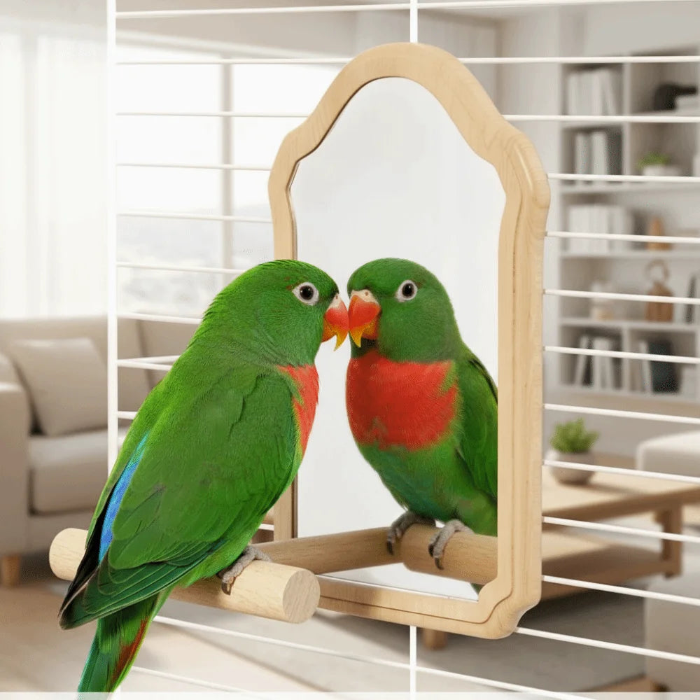 Bird Mirror Perch Toy, Chew-Resistant Interactive Parrot Cage Toy