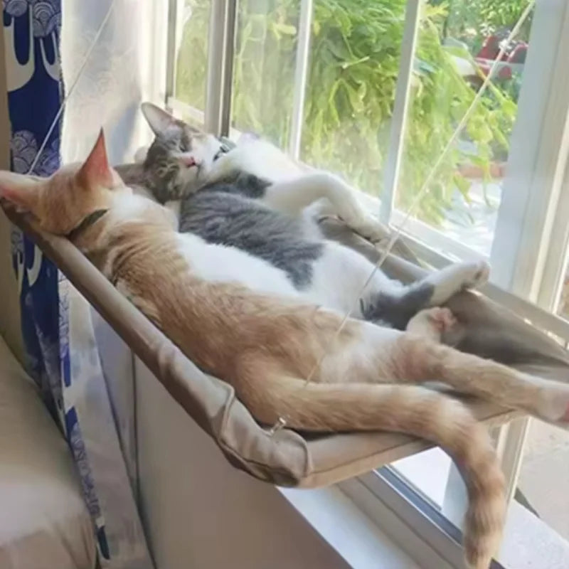 Wall-Mounted Cat Hammock with Climbing Frame, Holds Up to 44 lb
